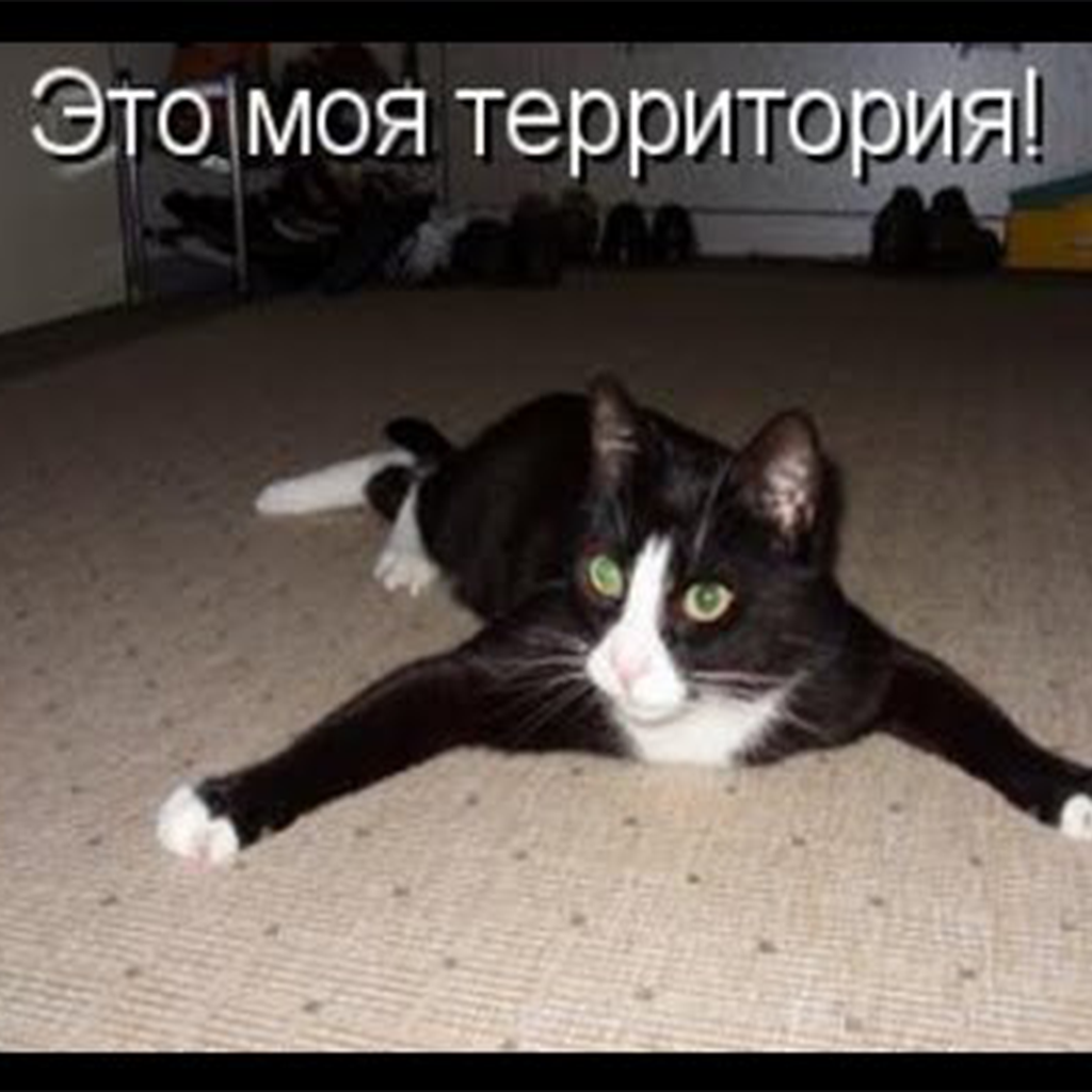 Территории